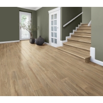 RADIANT - 8X47 PLAIN, BEACH, INDOOR R11